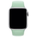 Silikonový Náramek Apple Watch 45/44/42/Ultra Beryl Large
