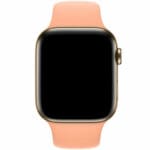 Silikonový Náramek Apple Watch 45/44/42/Ultra Cantaloupe Large