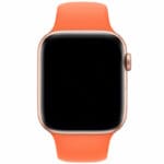 Silikonový Náramek Apple Watch 45/44/42/Ultra Vitamin C Large