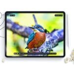 Hofi Paper Pro+ 2 Pack iPad Pro 11 5 / 2024 Matte Clear