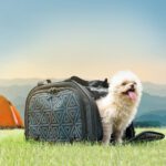Rockbros 30140028001 Transport Bicycle Bag Cats And Dogs Black